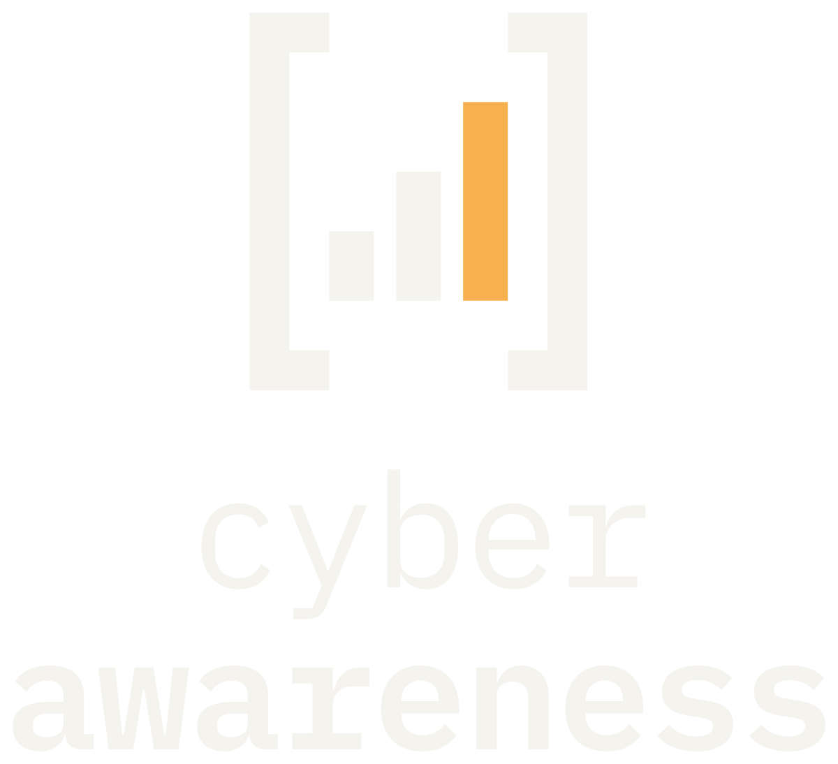 CYBER AWARENESS