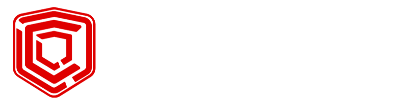 CYBER-BRO LLC